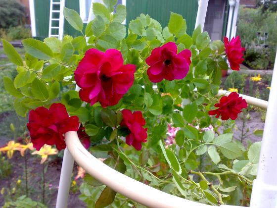 08072011586.jpg