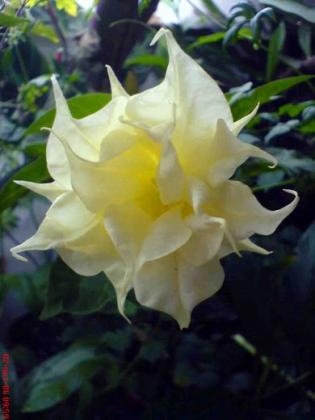 0_2eded_8573f142_XL.jpg