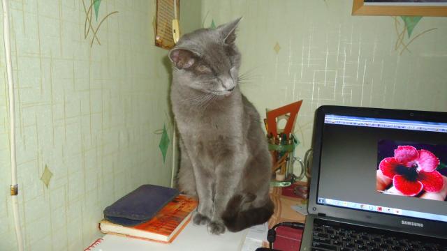 DSC04826.JPG