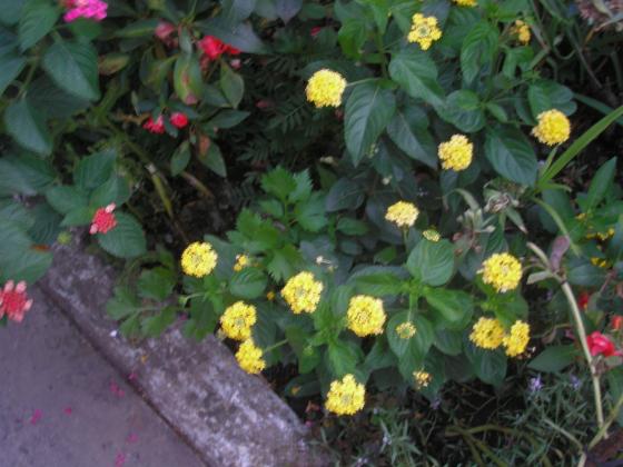 P1010071.JPG