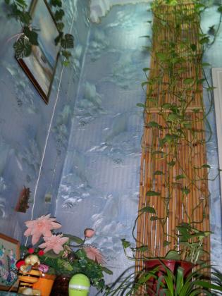 100_0101.JPG