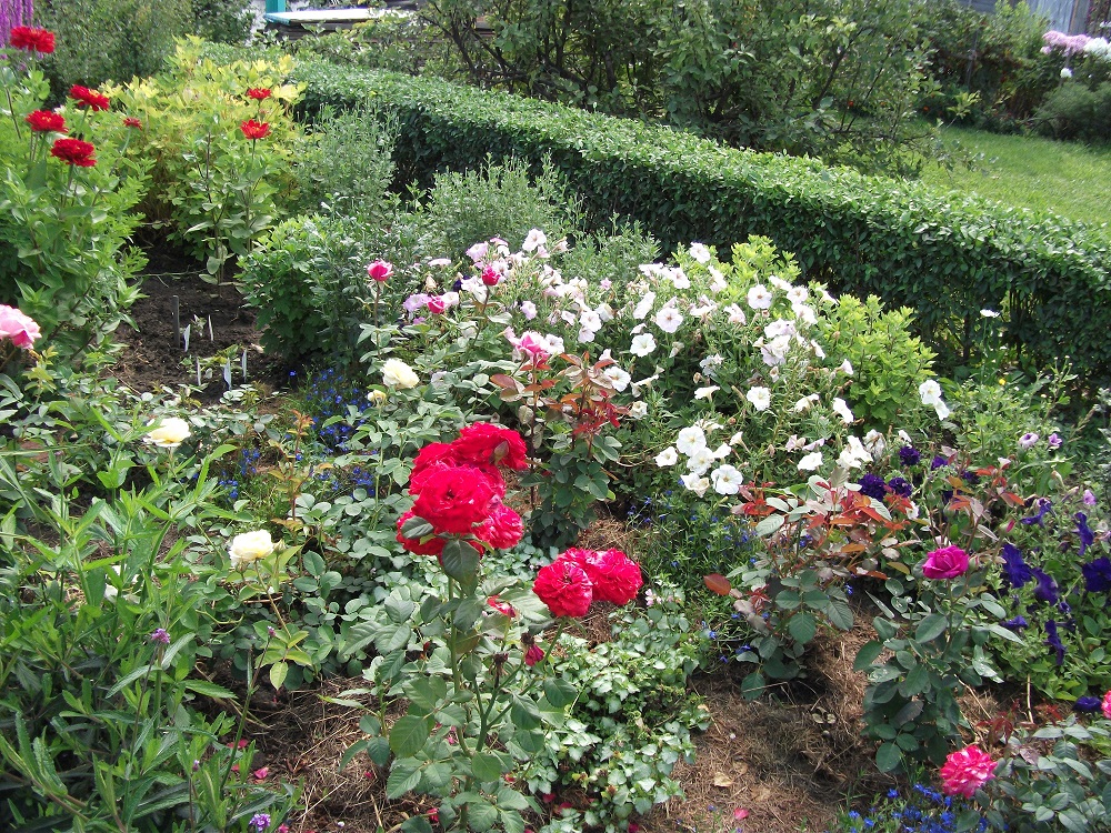 DSCF3491.JPG