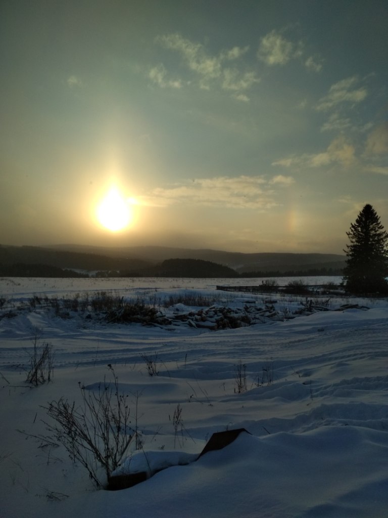 IMG_20190122_162449.jpg