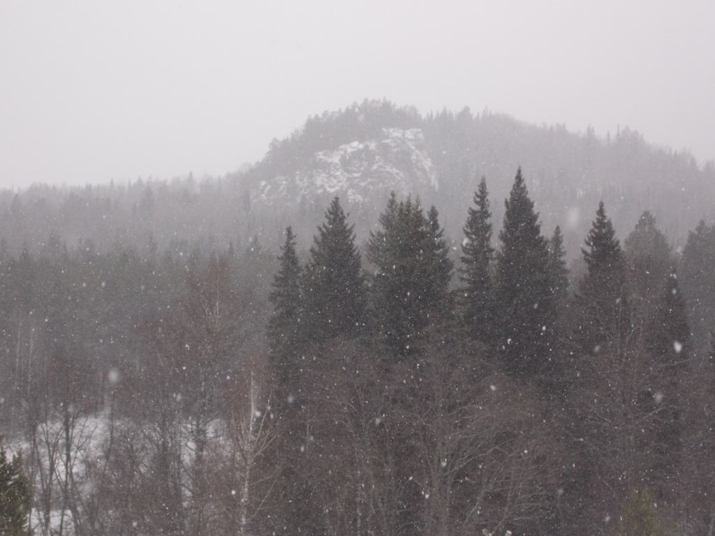 DSCN0146.JPG