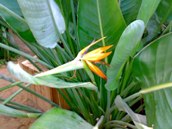 080220131739.jpg