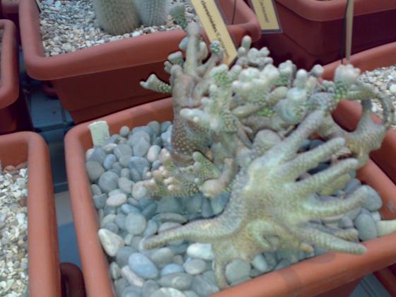 080220131787.jpg