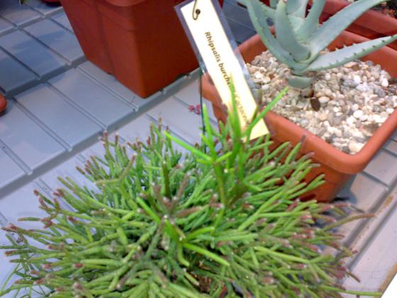 080220131790.jpg