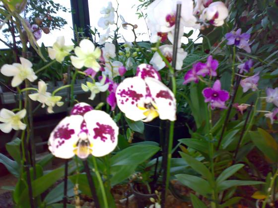 080220131744.jpg