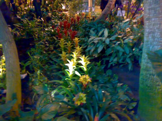 080220131759.jpg