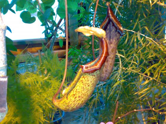 080220131757.jpg