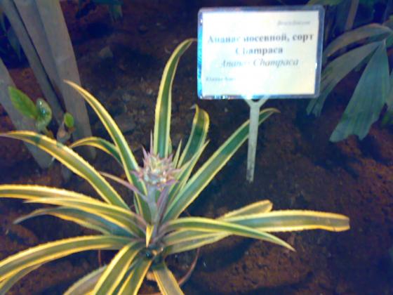 080220131749.jpg