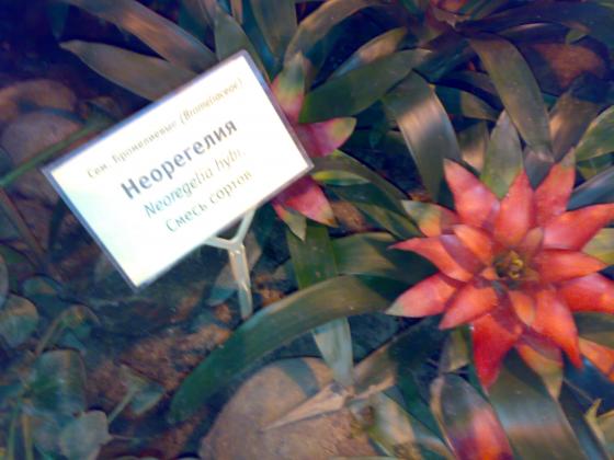 080220131768.jpg