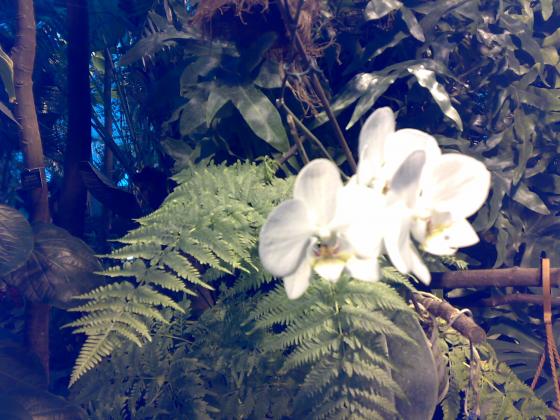 080220131767.jpg