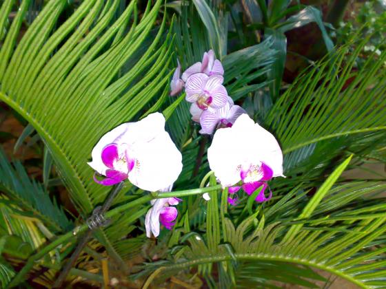 080220131771.jpg