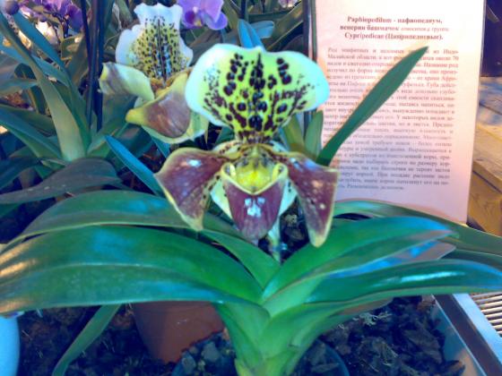 080220131776.jpg