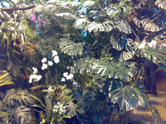 080220131781.jpg