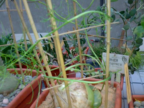 080220131801.jpg
