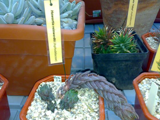080220131794.jpg