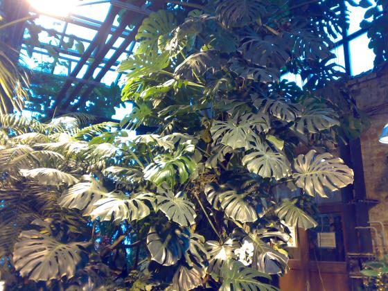 080220131780.jpg