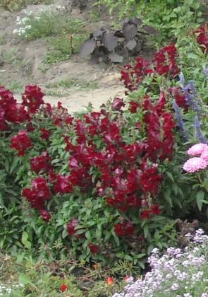 DSCN1214.jpg2.jpg