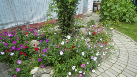 SDC16101.JPG
