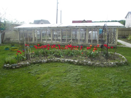 SDC12555.jpg