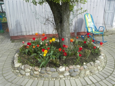 SDC12554.jpg