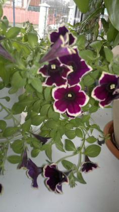 2013-12-01-1777_1.jpg