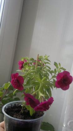 2013-10-12-1659_1.jpg