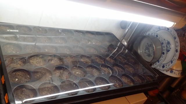 20150218_235048.jpg
