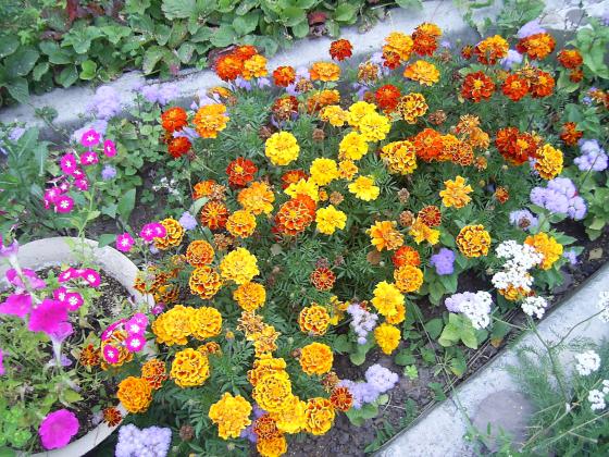 Ирина 2011 год 005.jpg