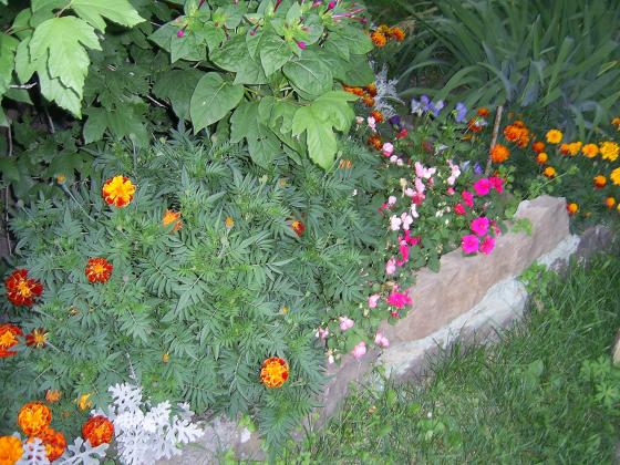 Ирина 2011 год 030.jpg
