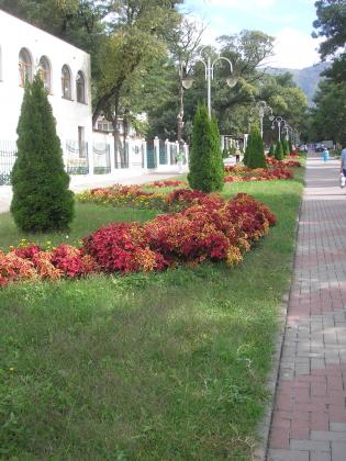 P1010059.JPG
