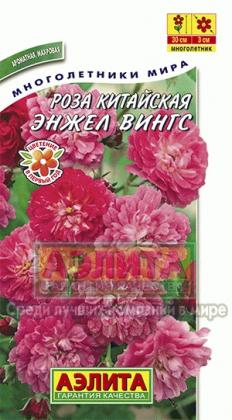 Роза из семян.jpg