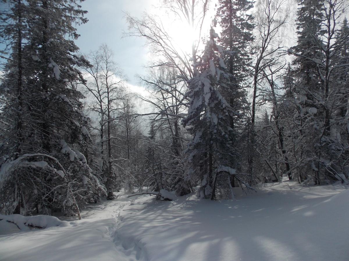 DSCN0123.JPG