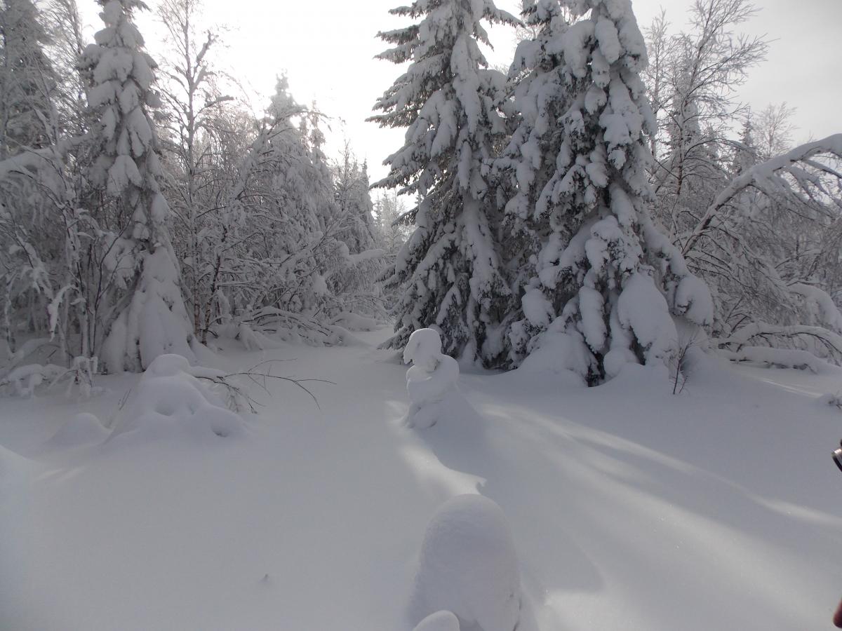 DSCN0127.JPG