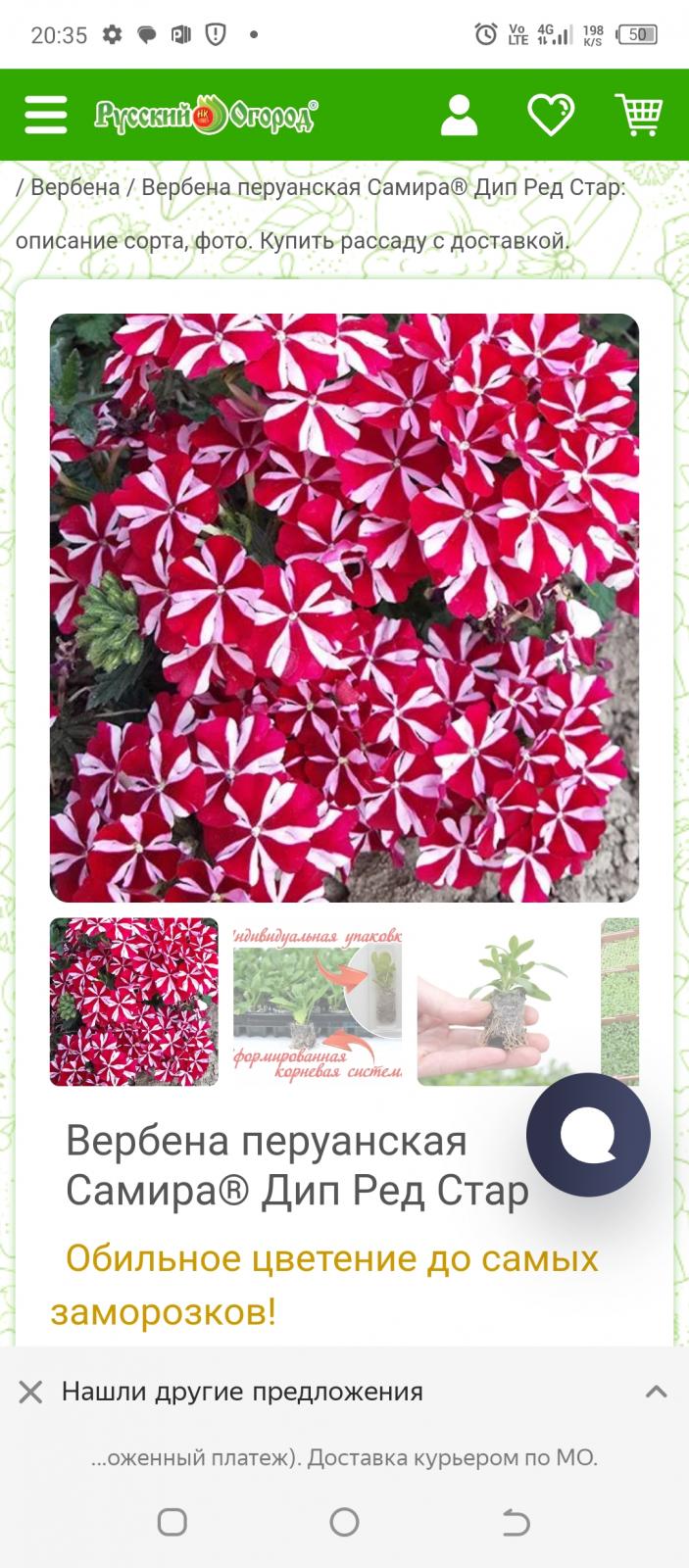 Screenshot_20240215-203502.jpg