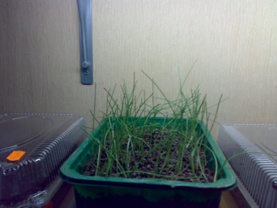 020320131829.jpg