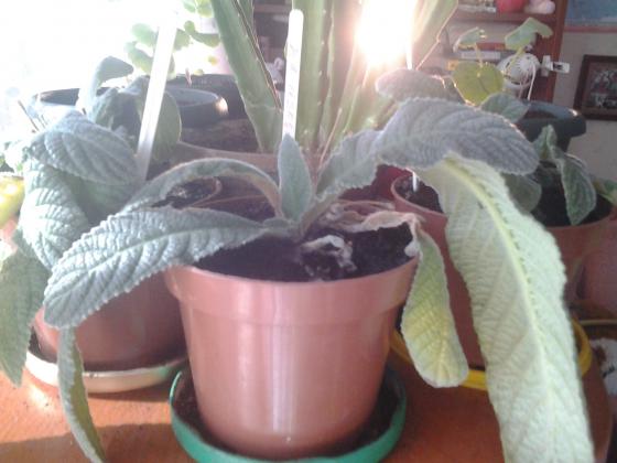 20130328_163420.jpg