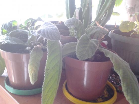 20130328_163430.jpg