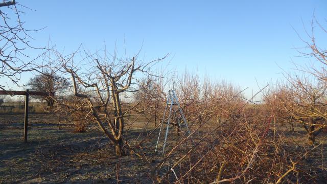 DSC03835.JPG