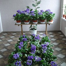 image6HWZ5TQY.jpg
