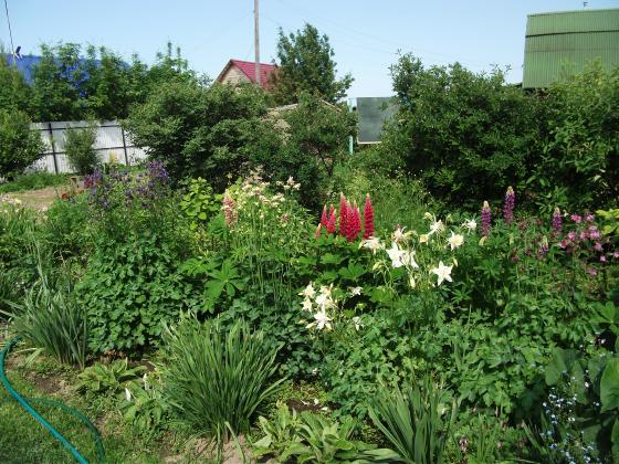 DSCF3679.JPG