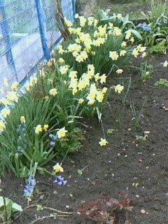 IMG0008A.jpg