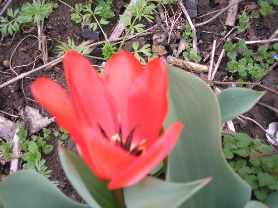 P1010010.JPG
