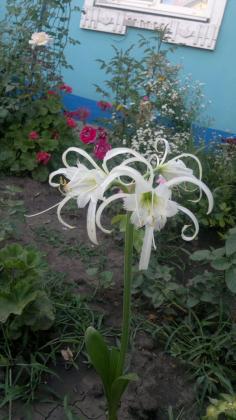 2014-07-21-3245_1.jpg