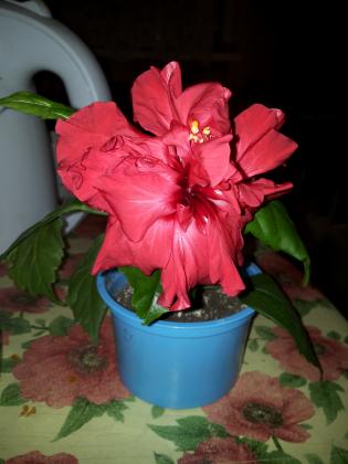 20160216_071800.jpg