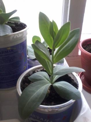 20170324_085054.jpg