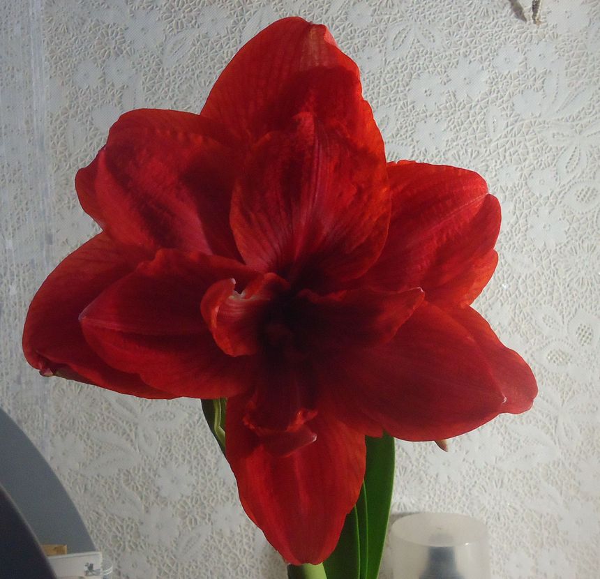 DSC00513.jpg1.jpg