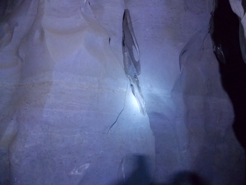 DSCN5024.JPG